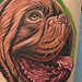 French Mastiff Tattoo